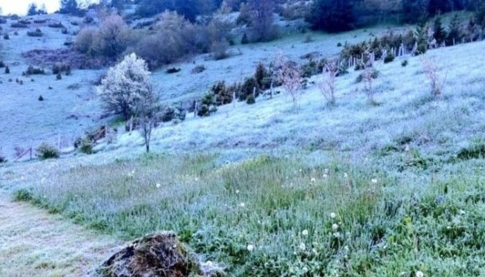 Stigle prve pahulje: Bjelašnicu prekrio rani snijeg (FOTO)