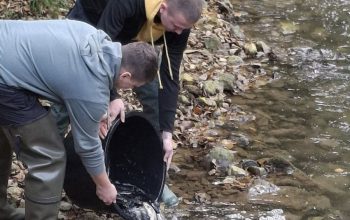 Poribljena rijeka Studeni Jadar – SRU „Bistro“ Zvornik unijelo preko 4.500 potočnih pastrmki uz podršku Opštine Milići i kompanije „Knez Petrol“ (FOTO)
