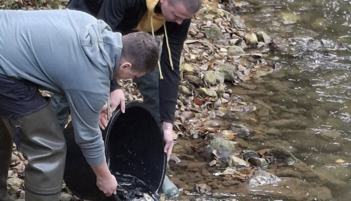 Poribljena rijeka Studeni Jadar – SRU „Bistro“ Zvornik unijelo preko 4.500 potočnih pastrmki uz podršku Opštine Milići i kompanije „Knez Petrol“ (FOTO)