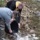 Poribljena rijeka Studeni Jadar – SRU „Bistro“ Zvornik unijelo preko 4.500 potočnih pastrmki uz podršku Opštine Milići i kompanije „Knez Petrol“ (FOTO)