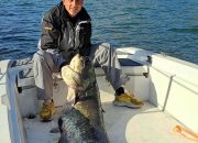 Trofejni som od 51 kilogram ulovljen na Zvorničkom jezeru (FOTO)
