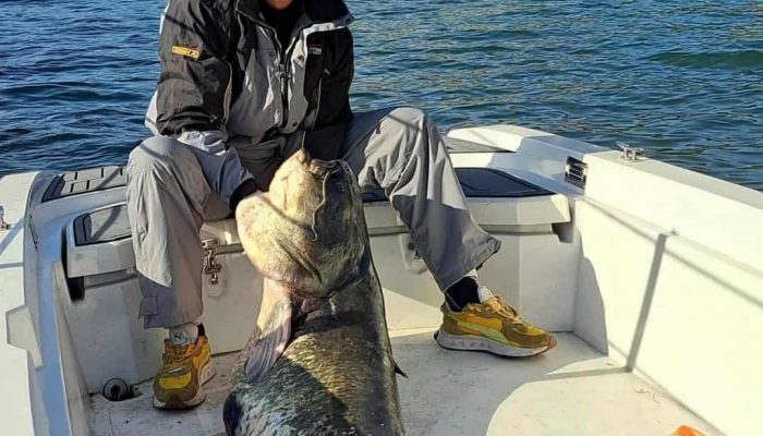 Trofejni som od 51 kilogram ulovljen na Zvorničkom jezeru (FOTO)