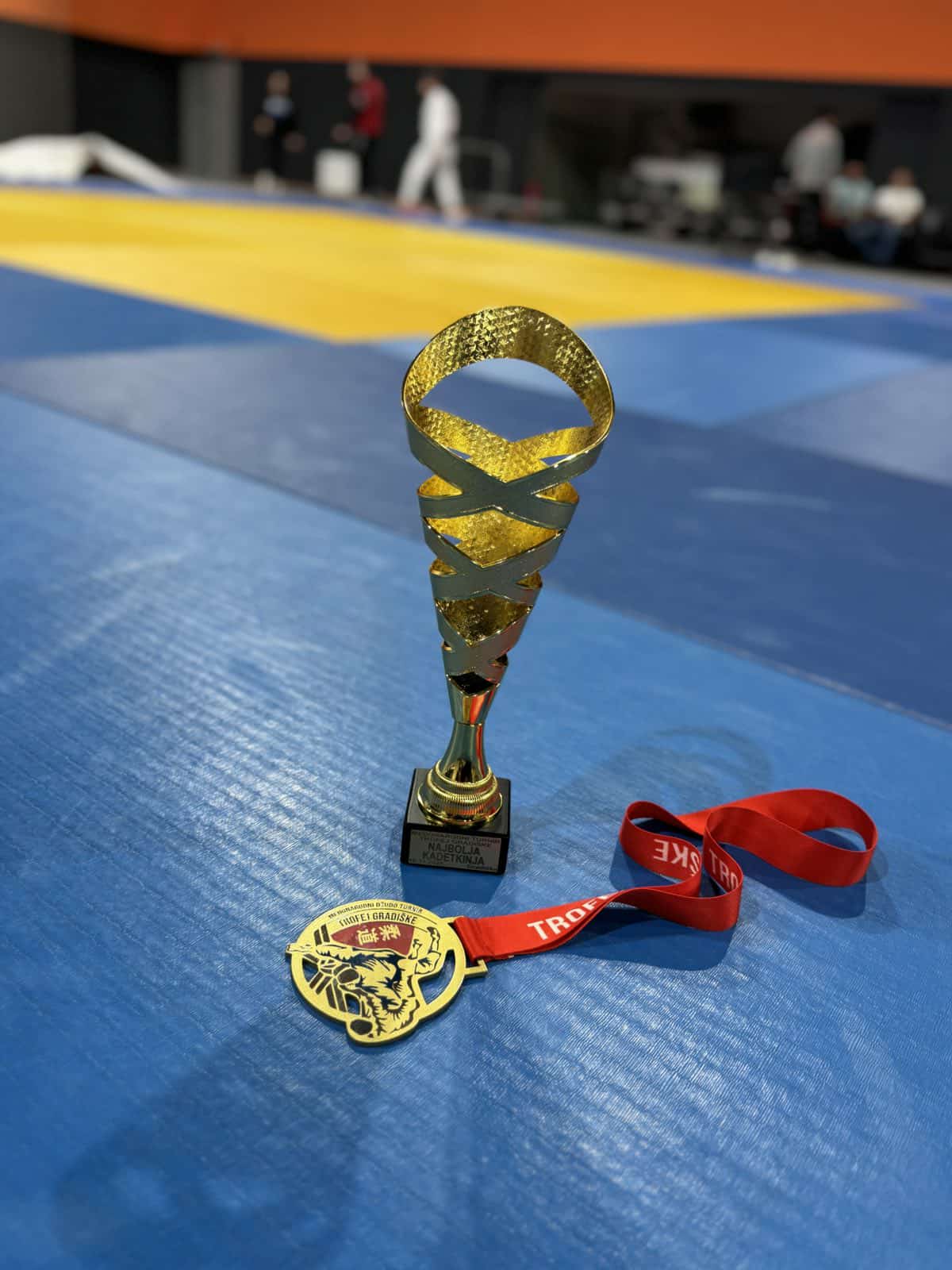 Sjajan nastup džudo kluba “Soko” iz Zvornika na međunarodnom turniru u Gradišci