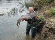 Bojan Arsenović iz Šepka ulovio kapitalnu mladicu na Drini (FOTO+VIDEO)