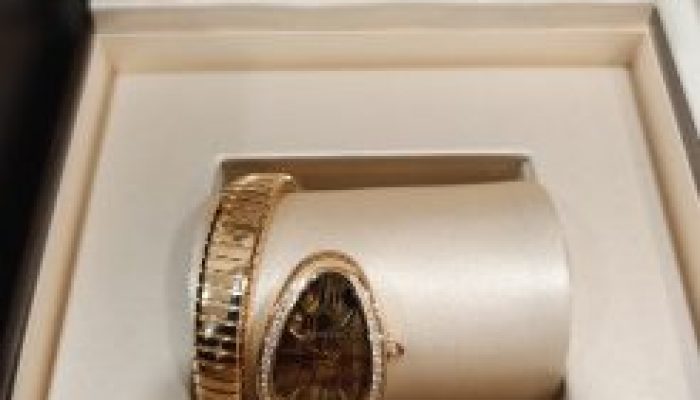 UIOBiH: Oduzeti skupocjeni satovi od strane carine (FOTO)