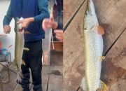 Jesenje čari ribolova na Zvorničkom jezeru: Senaid Aliefendić iz Diviča ulovio štuku od četiri kilograma (FOTO)