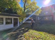 Počela je rekonstrukcija parka u Ulici Svetog Save