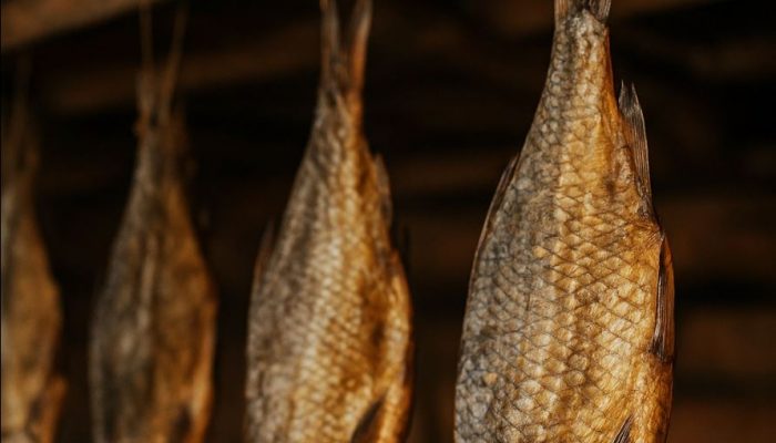 U Jelavu kod Loznice ukradeno oko 50 kilograma sušene ribe