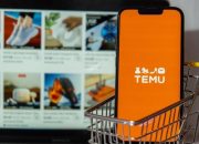 Temu obara rekorde, stručnjaci upozoravaju na poreske rupe i udar na domaće tržište