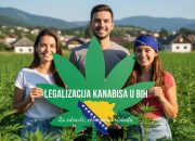 Šta zapravo znači legalizacija kanabisa u medicinske svrhe