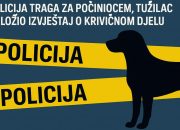 Pucano na psa: Policija traga za počiniocem, tužilac naložio izvještaj o krivičnom djelu