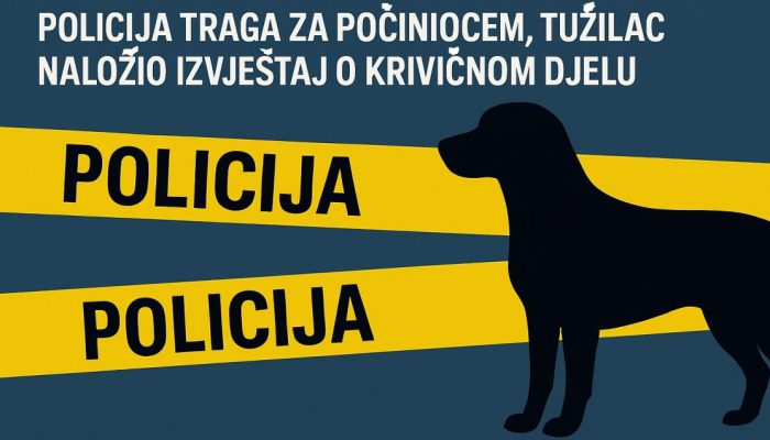 Pucano na psa: Policija traga za počiniocem, tužilac naložio izvještaj o krivičnom djelu