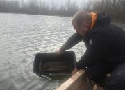 Tršićke bare bogatije za 384 kg štuke – najavljeno i poribljavanje jezera (FOTO)