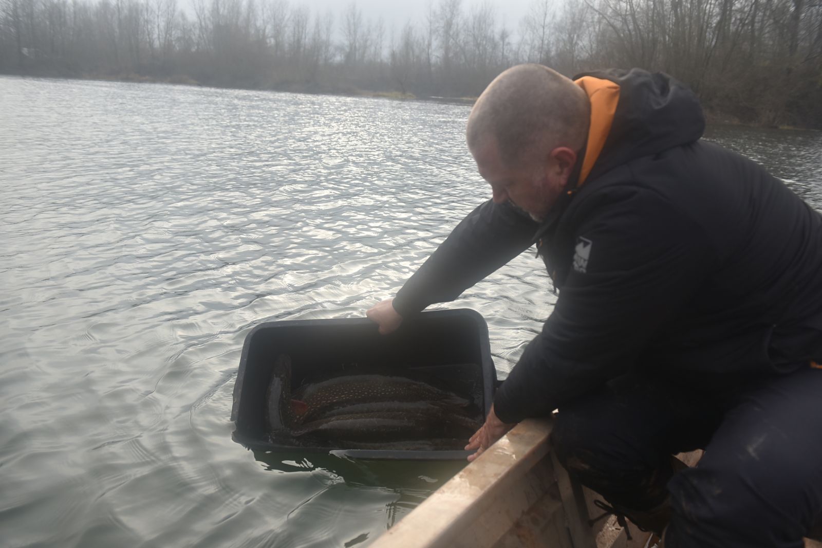 Tršićke bare bogatije za 384 kg štuke – najavljeno i poribljavanje jezera (FOTO)