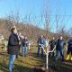Održana obuka o rezidbi voća u Gornjim Grbavcima (FOTO)