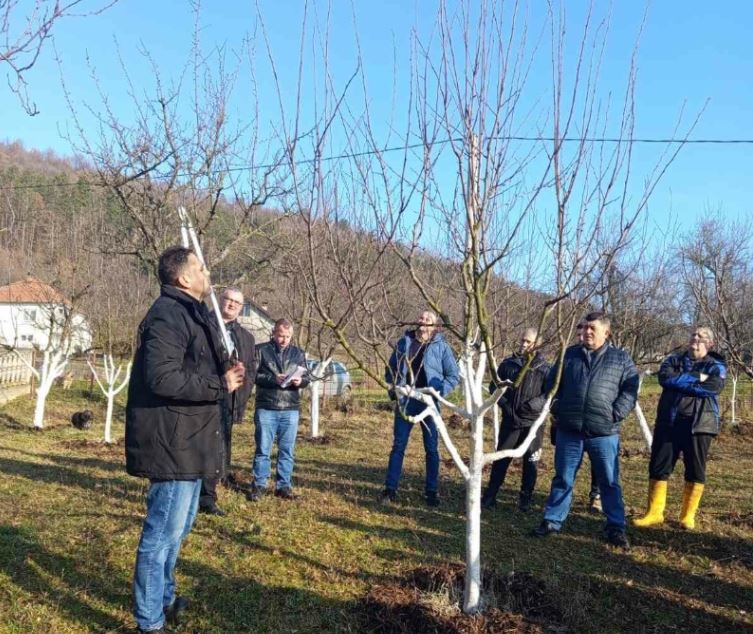 Održana obuka o rezidbi voća u Gornjim Grbavcima (FOTO)