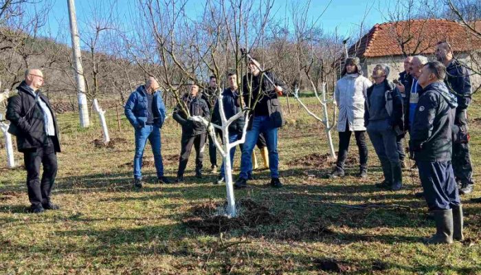 Održana obuka o rezidbi voća u Gornjim Grbavcima (FOTO)