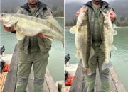 Trofejni smuđ: Milan i Petar imali ribarski dan za pamćenje (FOTO)