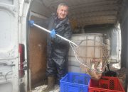 Počinje pospremanje ribnjaka “Saničani”!?