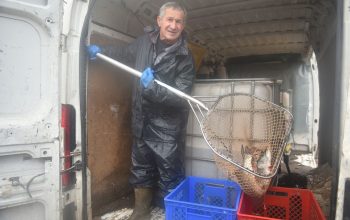 Počinje pospremanje ribnjaka “Saničani”!?