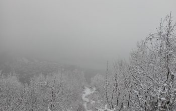 Dugoročna prognoza za zimu: Hoće li biti snijega i koliko?