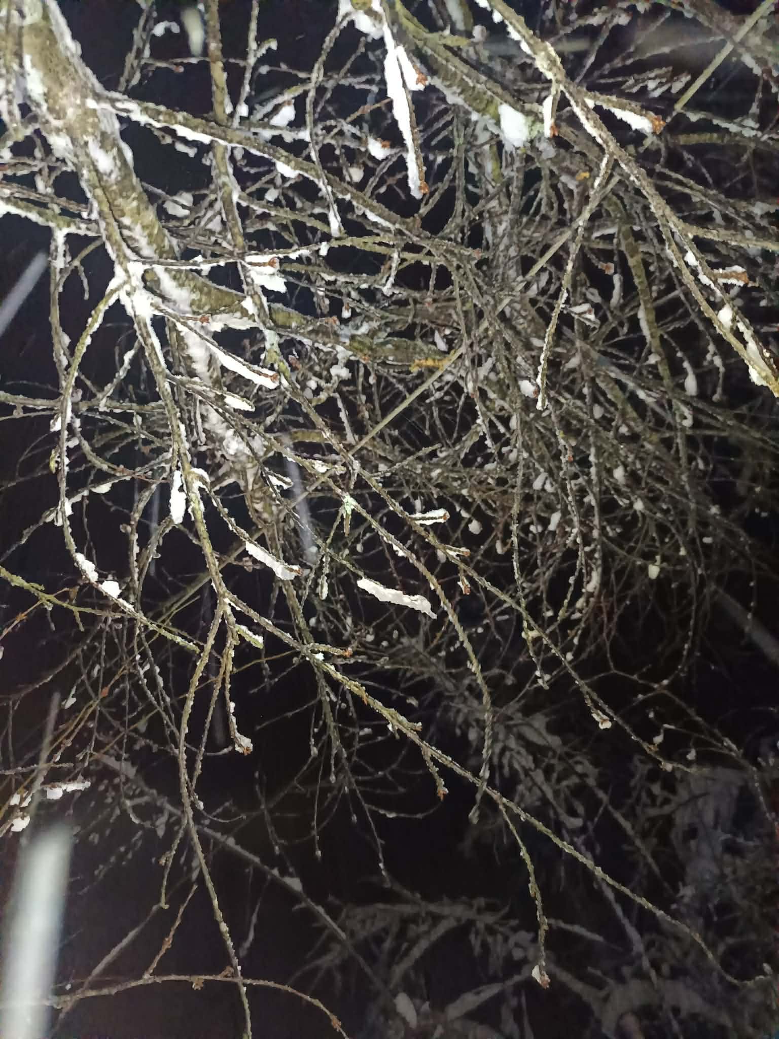 Radnici ''Elektro-Bijeljina'' na terenu, dalekvod Grbavci pod naponom, radovi na dalekovodu Kamenica još uvijek traju, dio korisnika dalekovoda Sapna ima električnu energiju