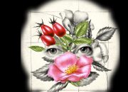 Prirodna zaštita bez hemikalija: Grane šipka ili ruža protiv glodara u voćnjaku