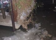 Voda ušla u dvorište kuća u naselju Terminal u Karakaju (FOTO)