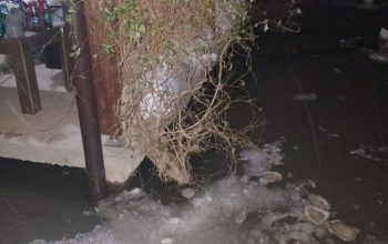 Voda ušla u dvorište kuća u naselju Terminal u Karakaju (FOTO)