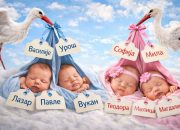 Tokom 2025. godine u matičnu knjigu rođenih upisano 480 djece