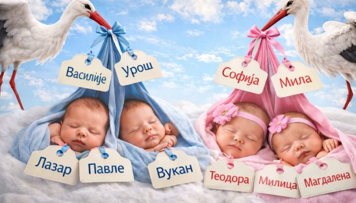 Tokom 2025. godine u matičnu knjigu rođenih upisano 480 djece