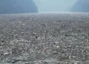 Ekološka katastrofa uz Drinu: Gori deponija uz rijeku