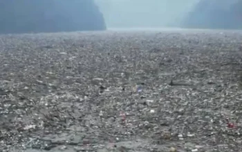 Ekološka katastrofa uz Drinu: Gori deponija uz rijeku