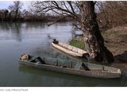 Sedam osoba ilegalno pokušalo preći granicu, isplivale samo tri