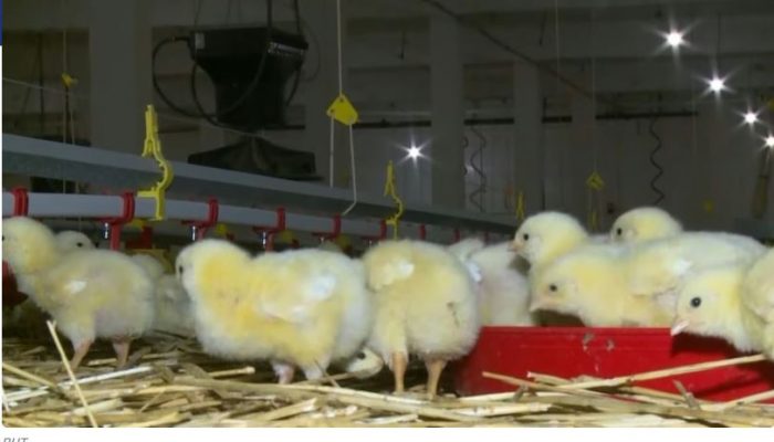 Isplaćeno 2,9 miliona maraka podsticaja poljoprivrednicima