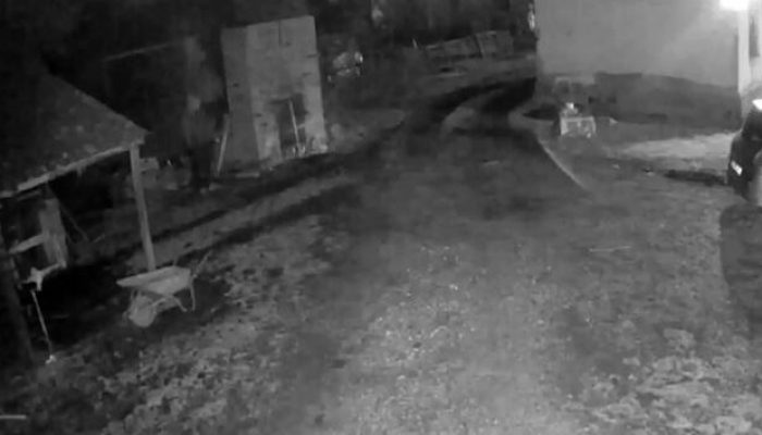 U okolini Loznice sušare na meti lopova