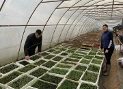 Dok mnogi napuštaju sela u Podrinju, Emir i Adelisa šire poljoprivrednu proizvodnju