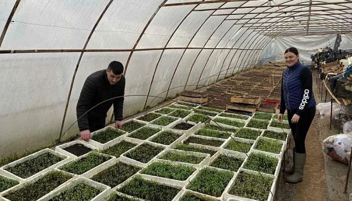 Dok mnogi napuštaju sela u Podrinju, Emir i Adelisa šire poljoprivrednu proizvodnju