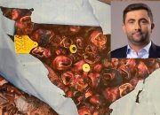 Gradonačelnik Bijeljine podnio prijave i protiv Zvorničana zbog nepropisnog odlaganja životinjskog otpada-goveđih ušiju u Semberiji (FOTO)