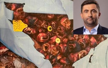 Gradonačelnik Bijeljine podnio prijave i protiv Zvorničana zbog nepropisnog odlaganja životinjskog otpada-goveđih ušiju u Semberiji (FOTO)