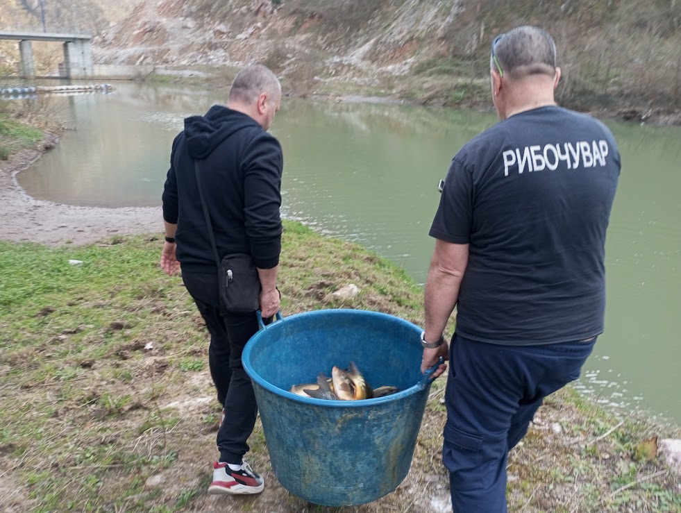 Poribljavanje Zvorničkog jezera i Medoša: Ubačeni kapitalni primjerci štuke i šarana (FOTO)