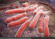 Šta je meningokokna sepsa od koje je preminulo dijete iz Visokog