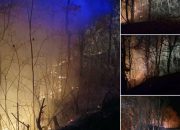 Brzom intervencijom vatrogasaca ugašen požar u Gornjoj Trnovici (FOTO)