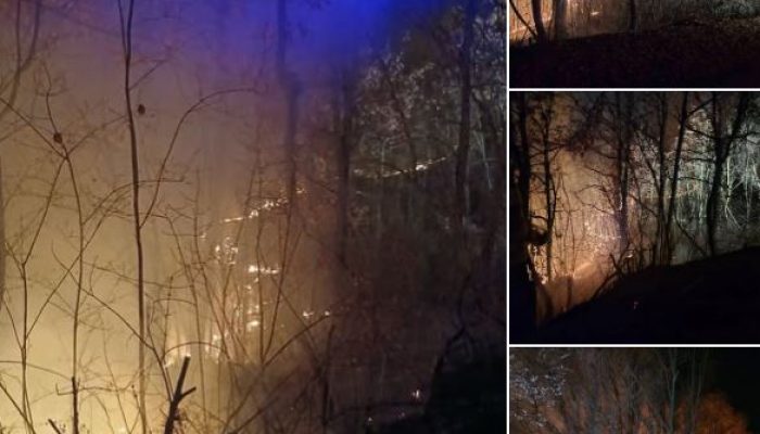 Brzom intervencijom vatrogasaca ugašen požar u Gornjoj Trnovici (FOTO)