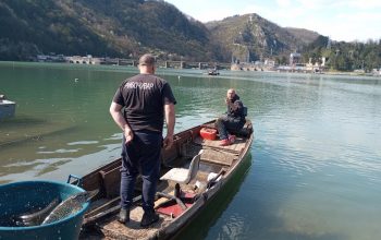 Poribljavanje Zvorničkog jezera i Medoša: Ubačeni kapitalni primjerci štuke i šarana (FOTO)