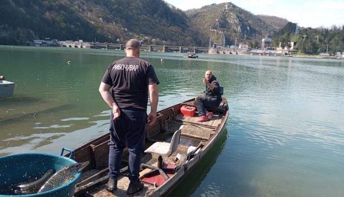 Poribljavanje Zvorničkog jezera i Medoša: Ubačeni kapitalni primjerci štuke i šarana (FOTO)
