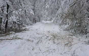 Prognoza vremena: Najavljen snijeg na vrhovima Udrča