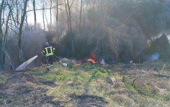 Požar u Karakaju brzo stavljen pod kontrolu, sumnja se na ljudski faktor (FOTO)