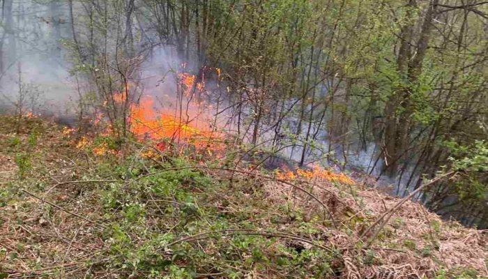 Požar u Dugom Dijelu brzo stavljen pod kontrolu, još jedno upozorenje na opasnosti paljenja vatre na otvorenom (FOTO)
