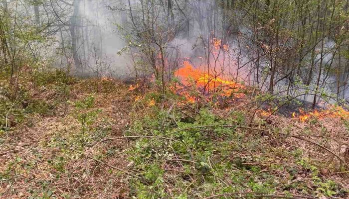Požar u Dugom Dijelu brzo stavljen pod kontrolu, još jedno upozorenje na opasnosti paljenja vatre na otvorenom (FOTO)